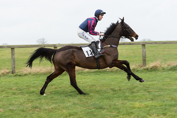Race 7 - Open Maiden (30 of 131).jpg