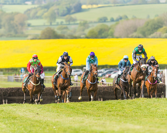 Race 5 - Restricted  (67 of 164)