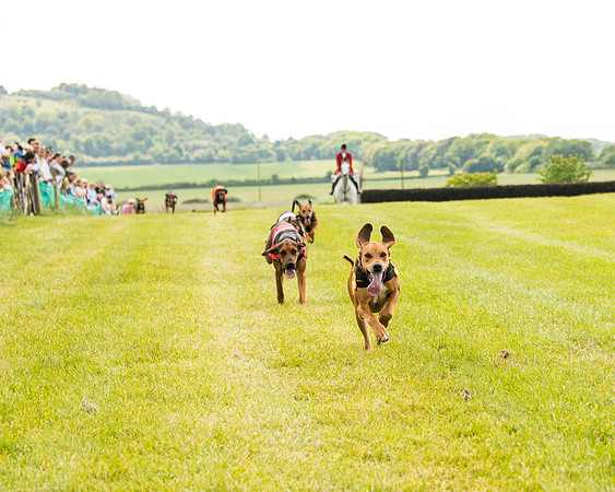 Draghounds Race (90 of 212)