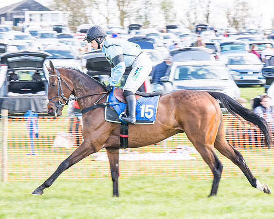 Race 4 - The Warehouse Reit Mixed Open Race  (16 of 124)