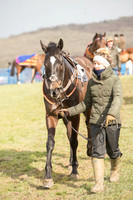 Race 2 - Open Maiden (16 of 161).jpg