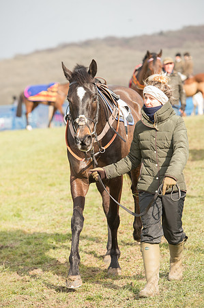 Race 2 - Open Maiden (16 of 161).jpg