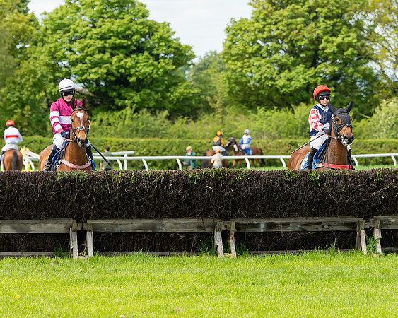 Race 1 - The Condiitions race (40 of 123)