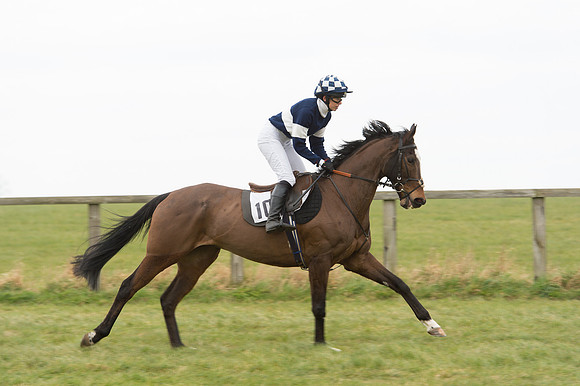 Race 2 - PPORA Novice riders  (11 of 186).jpg