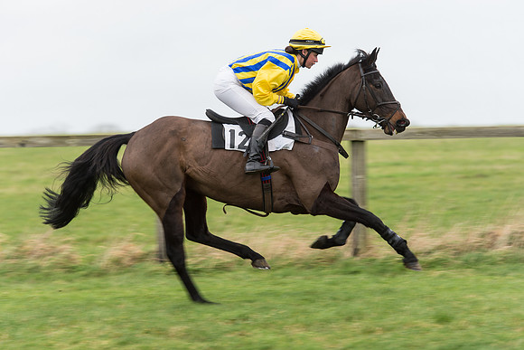 Race 7 - Open Maiden (61 of 131).jpg