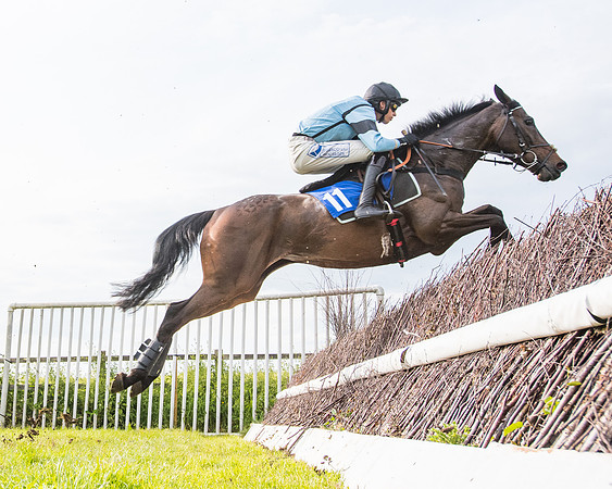 Race 6 - Open Maiden (167 of 346)