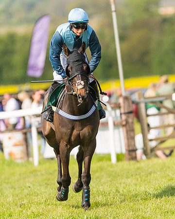 Race 5 - Restricted  (18 of 164)