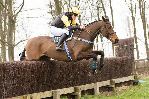 Race 2 - PPORA Novice riders  (119 of 186).jpg