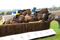 Race 1 - Young Horse Maiden (16 of 50).jpg