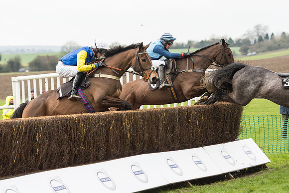 Race 1 - Young Horse Maiden (16 of 50).jpg