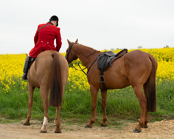Hunt and Hounds (6 of 12)