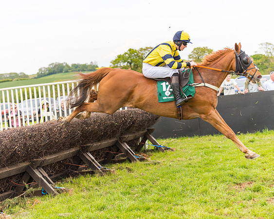Race 7 - Veteran Horse conditions (115 of 244)