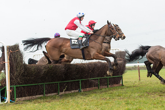 Race 6 - Open Maiden Race Div 1  (44 of 90).jpg
