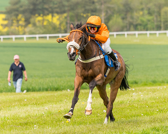 Pony Race 2 - 148cm (86 of 142)