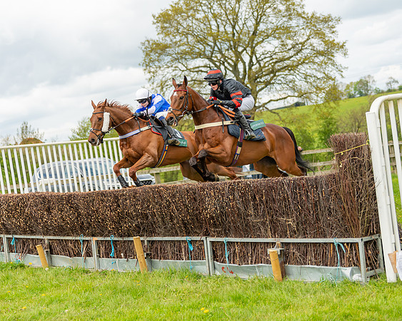 Race 2 - ROR and veteran Horse Conditions race (14 of 77)