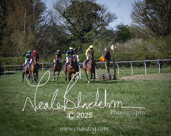 Race 5 - The restricted (46 of 113)