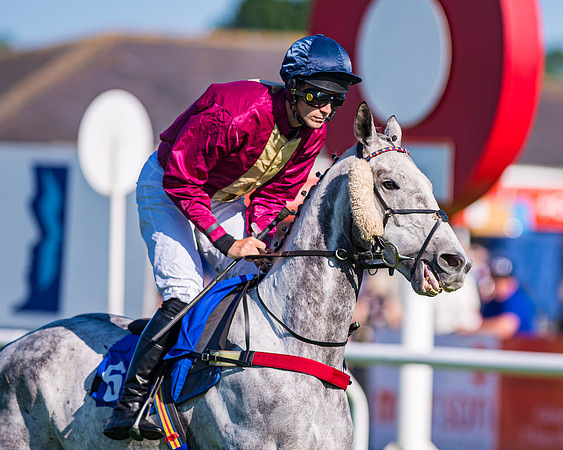Race 1 - JFF Open Hunter Steeple Chase 2m  (43 of 202)