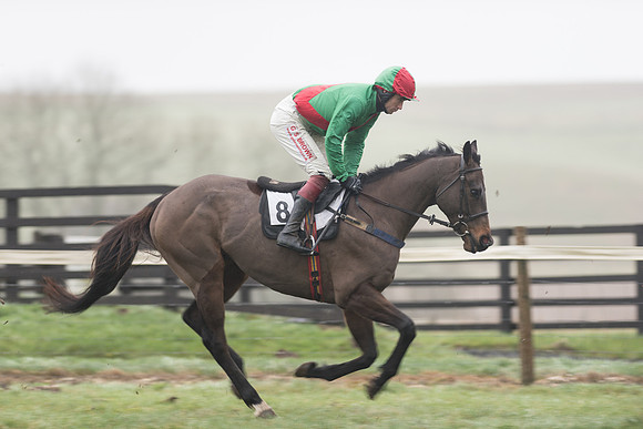 Race 5 - The Intermediate (20 of 59).jpg