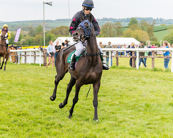 Race 7 - Veteran Horse conditions (62 of 244)