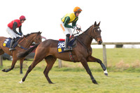 Race 6 Div 2 - Open Maiden  (34 of 131).jpg