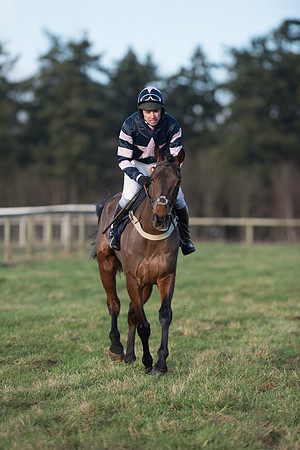 Race 5 - Restricted Race (13 of 107).jpg