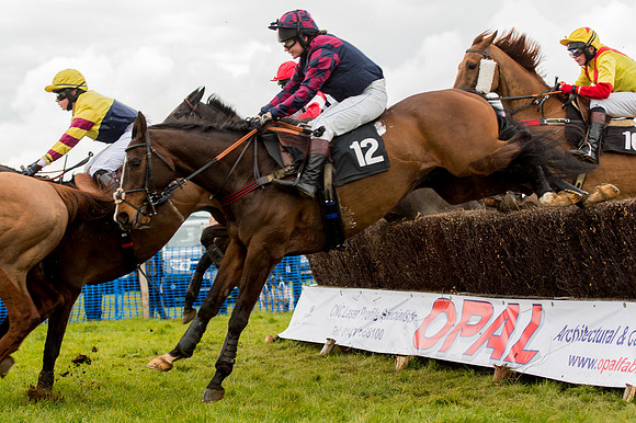 Race 2 - Novice and Veterans   (58 of 101).jpg