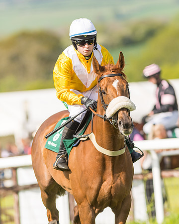 Race 5 - Restricted  (8 of 164)