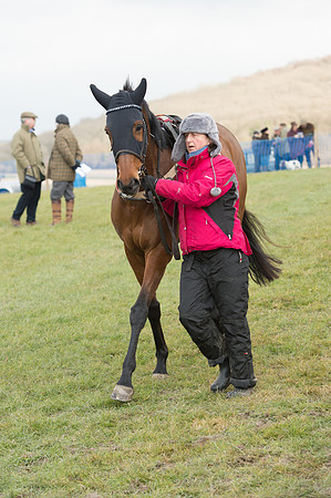 Race 1 - Div 2 - Young Horse Maiden (17 of 122).jpg