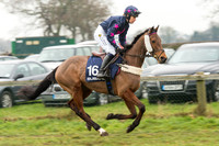 Race 5 - The Restricted Race (17 of 86).jpg