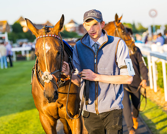 Race 7 - ITM NH Flat Race (2 of 197)