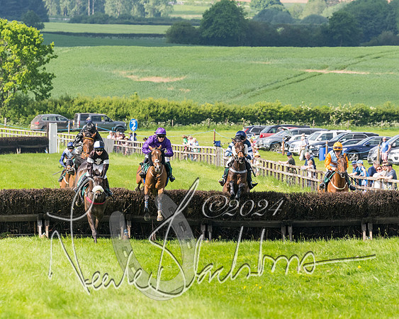 Race 4 - PPORA Novice Riders Final  (204 of 362)
