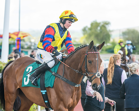 Race 3 - KTDA Open Hunter Chase (85 of 317)