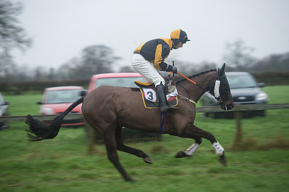 Race 7 - Open Maiden DIvision 2  (46 of 131).jpg