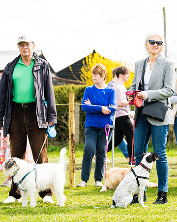 Dog show etc (126 of 157)