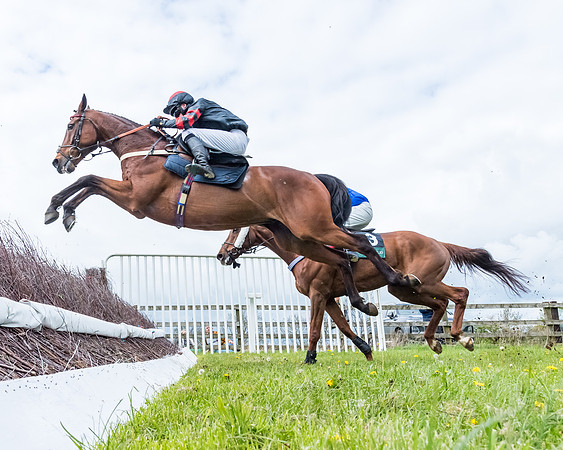 Race 2 - ROR and veteran Horse Conditions race (42 of 77)