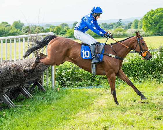 Race 6 - Open Maiden (243 of 346)