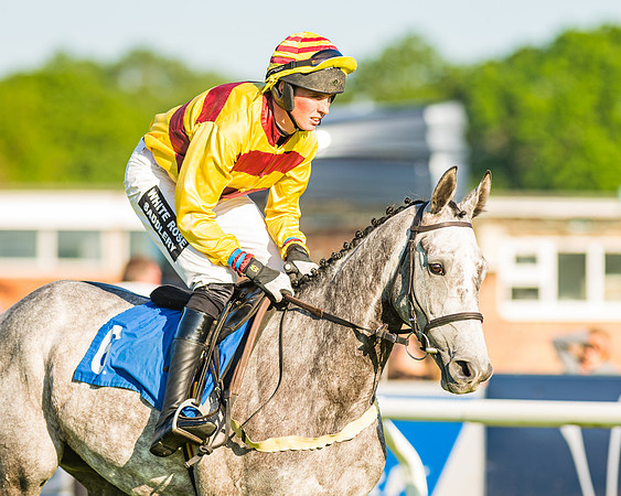 Race 3 - John Corbet Cup (25 of 127)