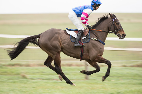 Race 2 - MAres Maiden (9 of 61).jpg