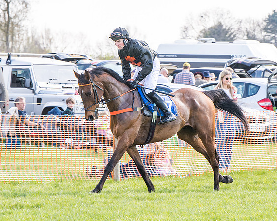 Race 4 - The Warehouse Reit Mixed Open Race  (5 of 124)