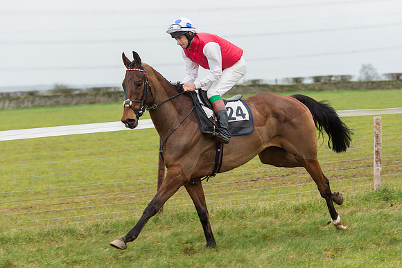 Race 6 - Open Maiden Race Div 1  (12 of 90).jpg