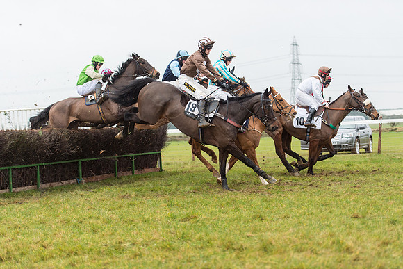 Race 6 - Open Maiden Race Div 1  (43 of 90).jpg
