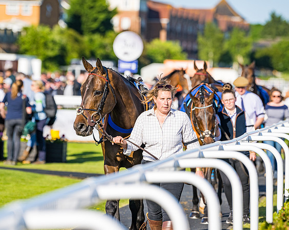 Race 3 - John Corbet Cup (13 of 127)