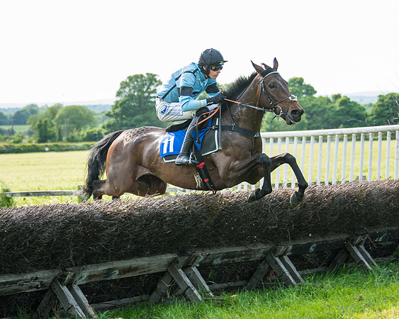 Race 6 - Open Maiden (166 of 346)