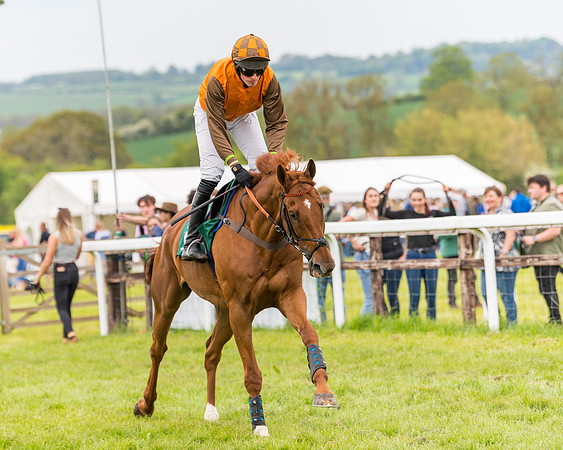 Race 7 - Veteran Horse conditions (77 of 244)