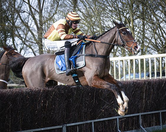 Race 1 - All Is True - Jack Andrews (28 of 38)