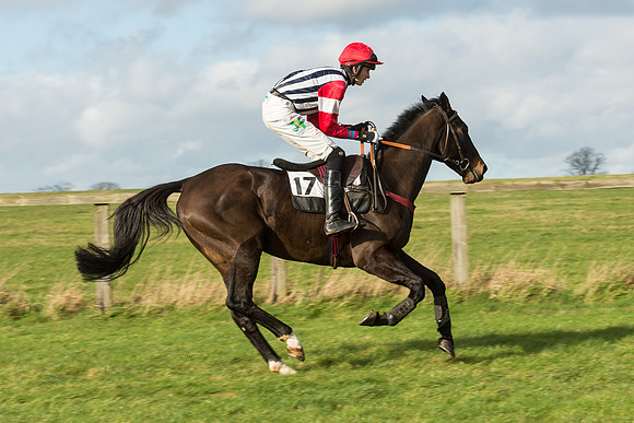 Race 3 - PPORA Members Novice Riders (26 of 84).jpg