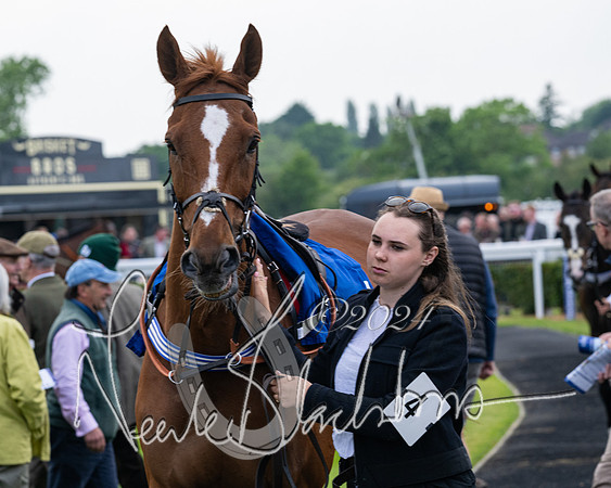 Race 1 - Restricted Novices Hunter Chase (23 of 145)