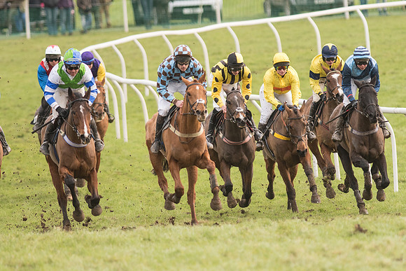 Race 5 - 2M 4F Conditions (53 of 96).jpg