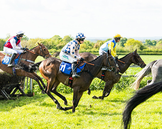 Race 5 - 2m5f Maiden (77 of 144)
