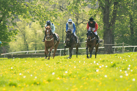 Race 2 - Veteran Horse  (50 of 82)